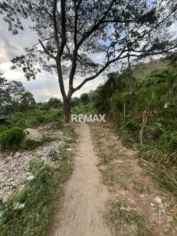 Vista 5
