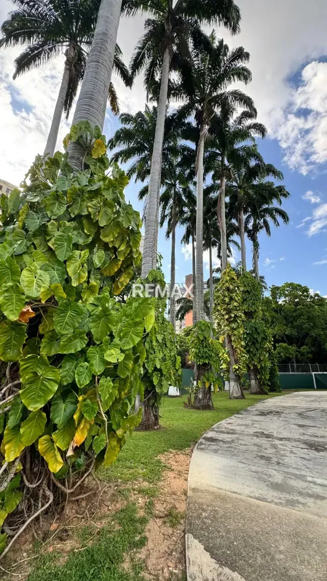APARTAMENTO EN VENTA - PLANTA BAJA, EXCELENTE CONDOMINIO - 11