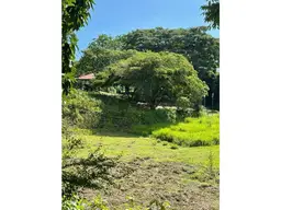 View 1