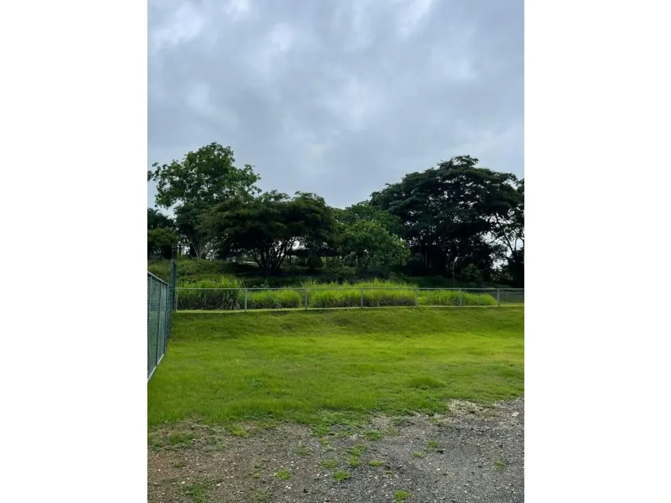 COMPLEJO AGRO-INDUSTRIAL Y COMERCIAL TCL T 9738654 - 2