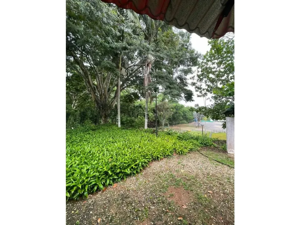 COMPLEJO AGRO-INDUSTRIAL Y COMERCIAL TCL T 9738654 - 3