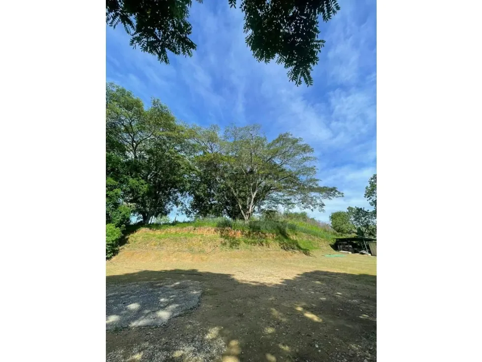 COMPLEJO AGRO-INDUSTRIAL Y COMERCIAL TCL T 9738654 - 5