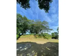 View 5