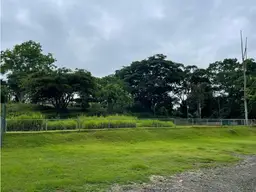 View 7
