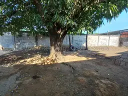 Vista 3