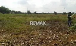 Vista 4