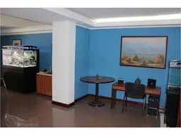 Vista 15