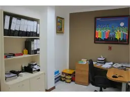 Vista 16