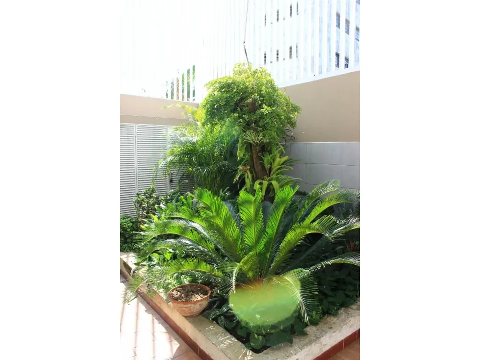 Vendo edificio 3 plantas 717m2 Los Caobos 3054 - 39