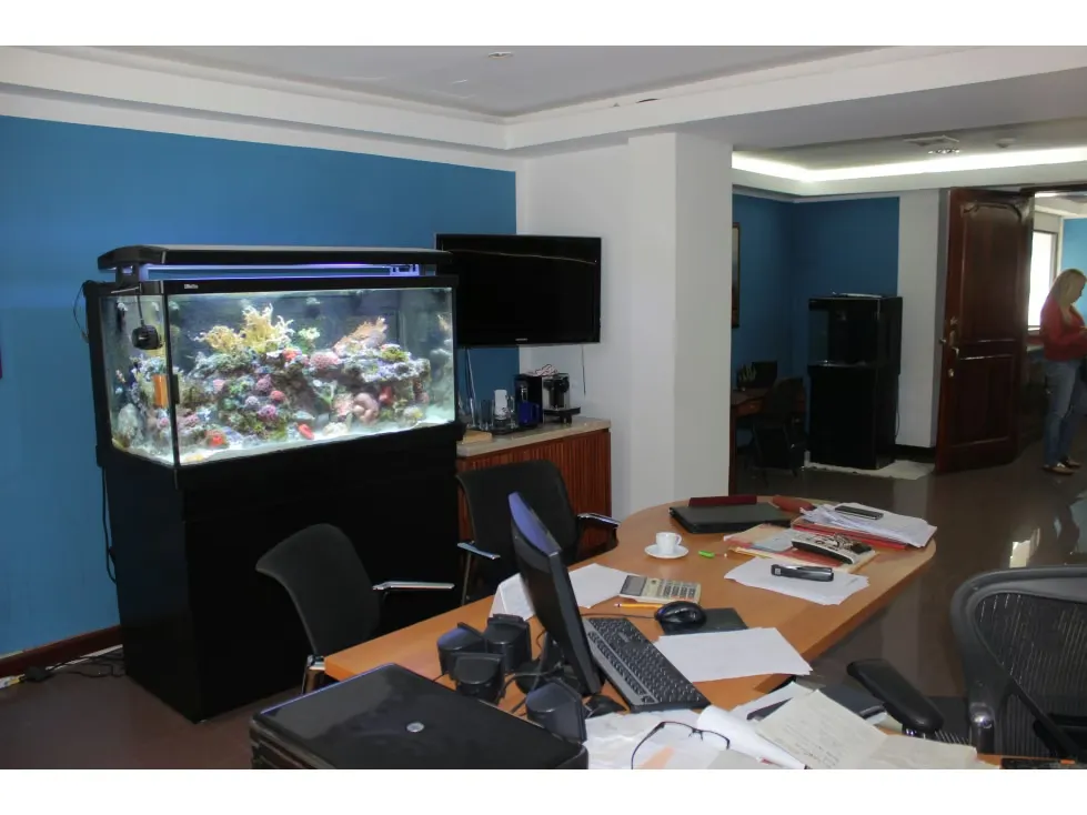 Vendo edificio 3 plantas 717m2 Los Caobos 3054 - 86