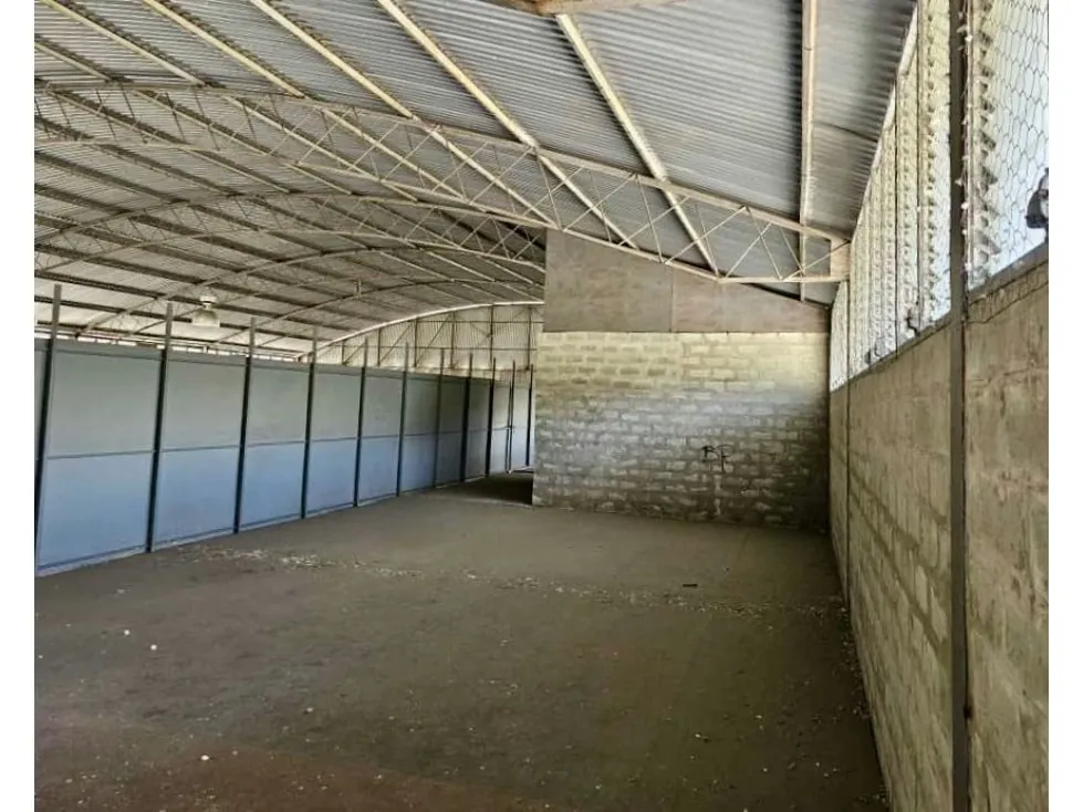 Vendo galpón industrial 3.900m2 Zona Industrial de Carrizal 4786 - 8