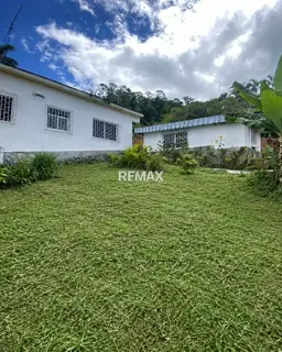 View 12