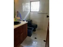 Vista 15