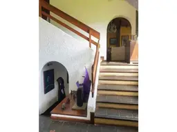 Vista 5