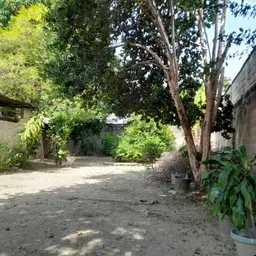 Vista 5