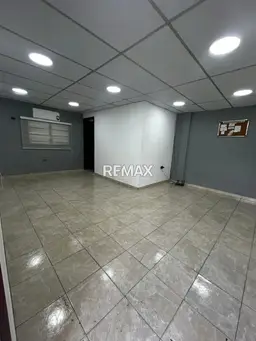 Vista 4