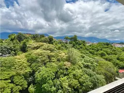 View 15