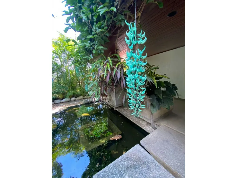 Los Chorros, Alquiler, casa 6hab y 6b/1600m y 750m, jardin piscina - 17