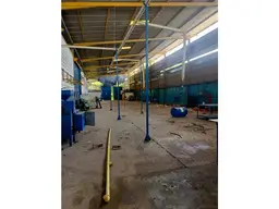 Vista 5