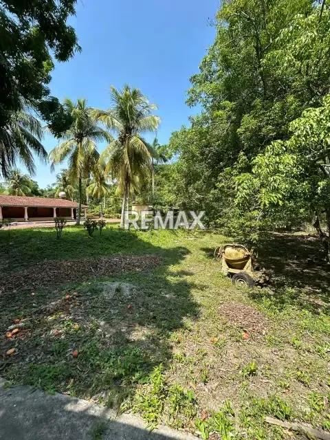 HERMOSA CASA QUINTA SEMERUCO, EN GUAMA ESTADO YARACUY - 4