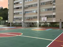 Vista 19