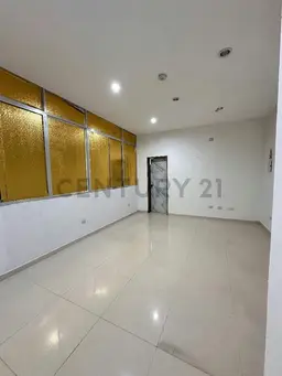 Vista 4