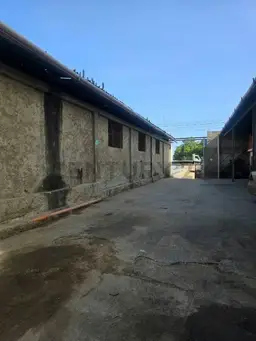 Vista 5