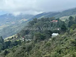 View 12