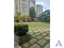 Vista 1