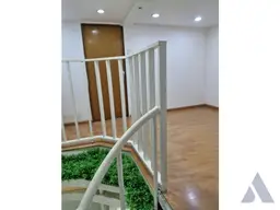 Vista 5