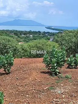 View 11