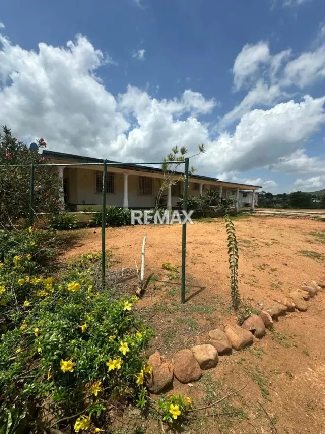 Terreno y Casa en Venta en Puerto Piritu - 5