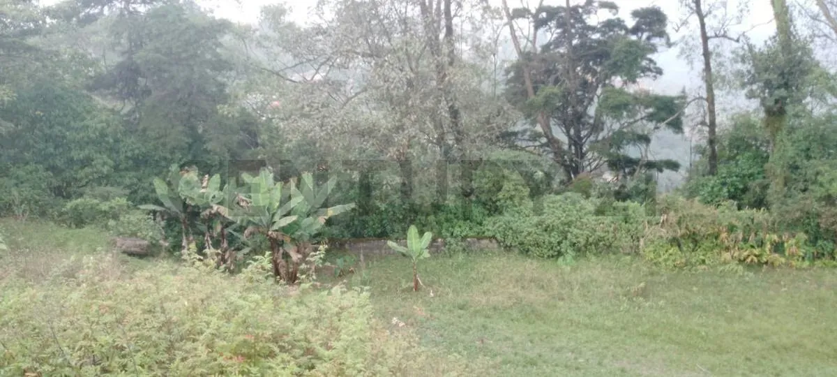 VENTA DE TERRENO EL JUNQUITO 18.100 MTS ideal para desarrollo TURISTICO - 6
