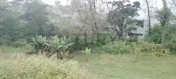 View 6