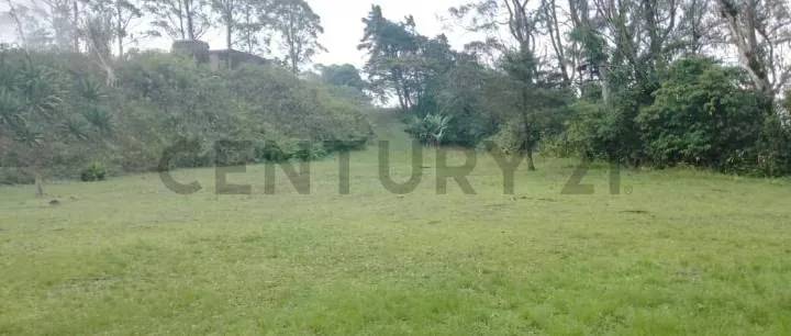 VENTA DE TERRENO EL JUNQUITO 18.100 MTS ideal para desarrollo TURISTICO - 9