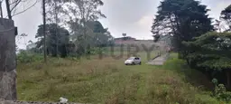View 10