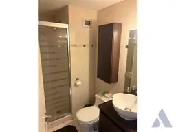 Vista 5