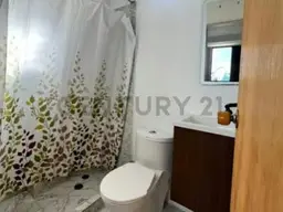 Vista 5