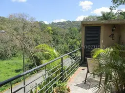 Vista 24