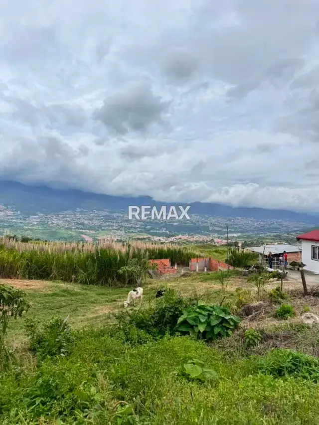 TERRENO EN VENTA EN EL ABEJAL