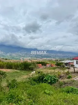 Vista 1