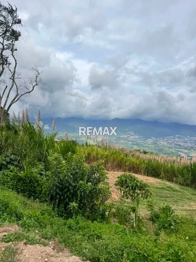 TERRENO EN VENTA EN EL ABEJAL - 2