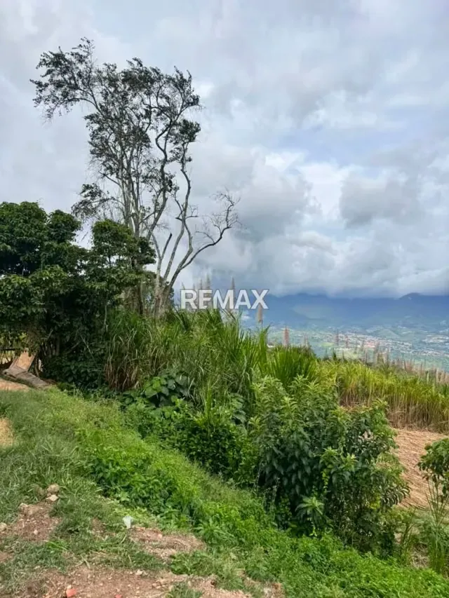 TERRENO EN VENTA EN EL ABEJAL - 3