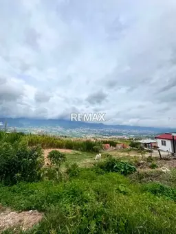 Vista 4