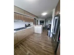 Vista 19
