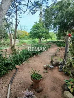 View 12