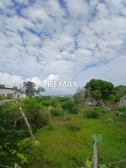 View 4