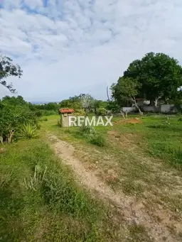 View 5