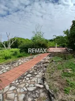 View 7