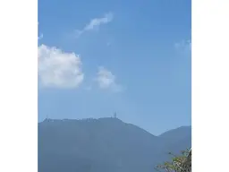 View 4